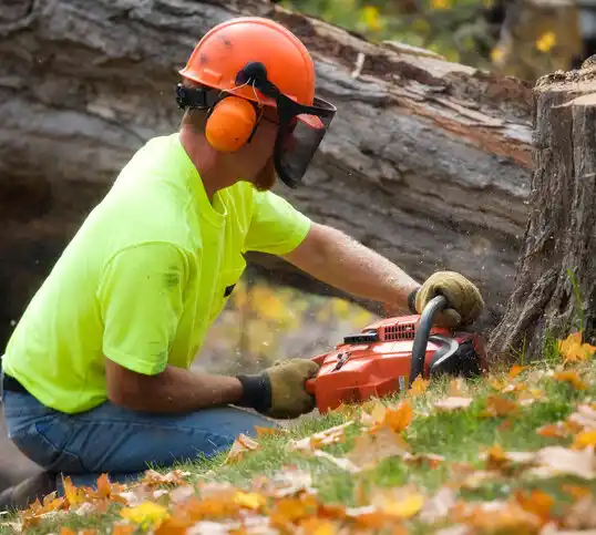 tree services Whitesboro